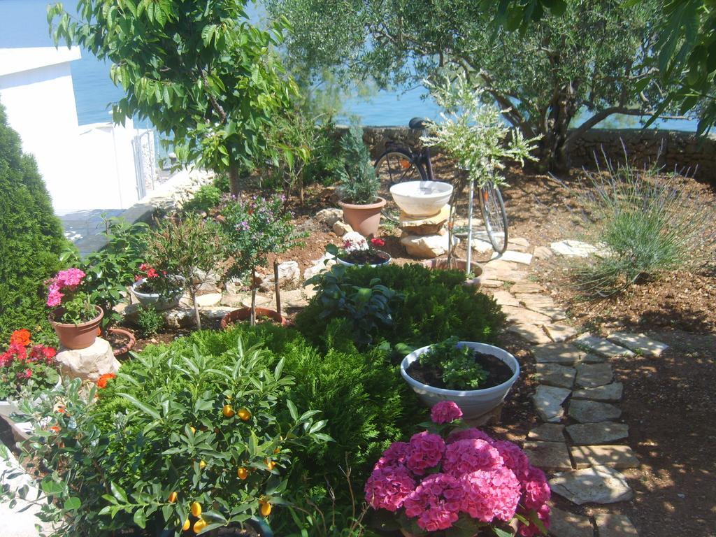 Apartments Iva Alla Trogir Cameră foto
